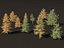 Larix kaempferi - larício japonês
