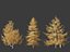 Larix kaempferi - larício japonês