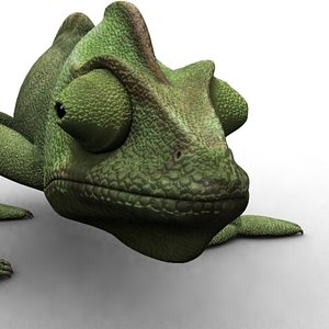 chameleon cameleon reptile ma