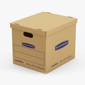 Carton Bankers Box
