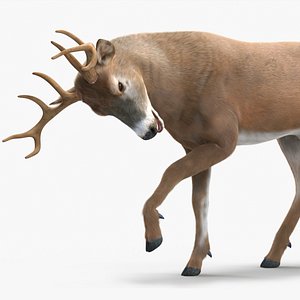 Virginia Deer Fur Rigged