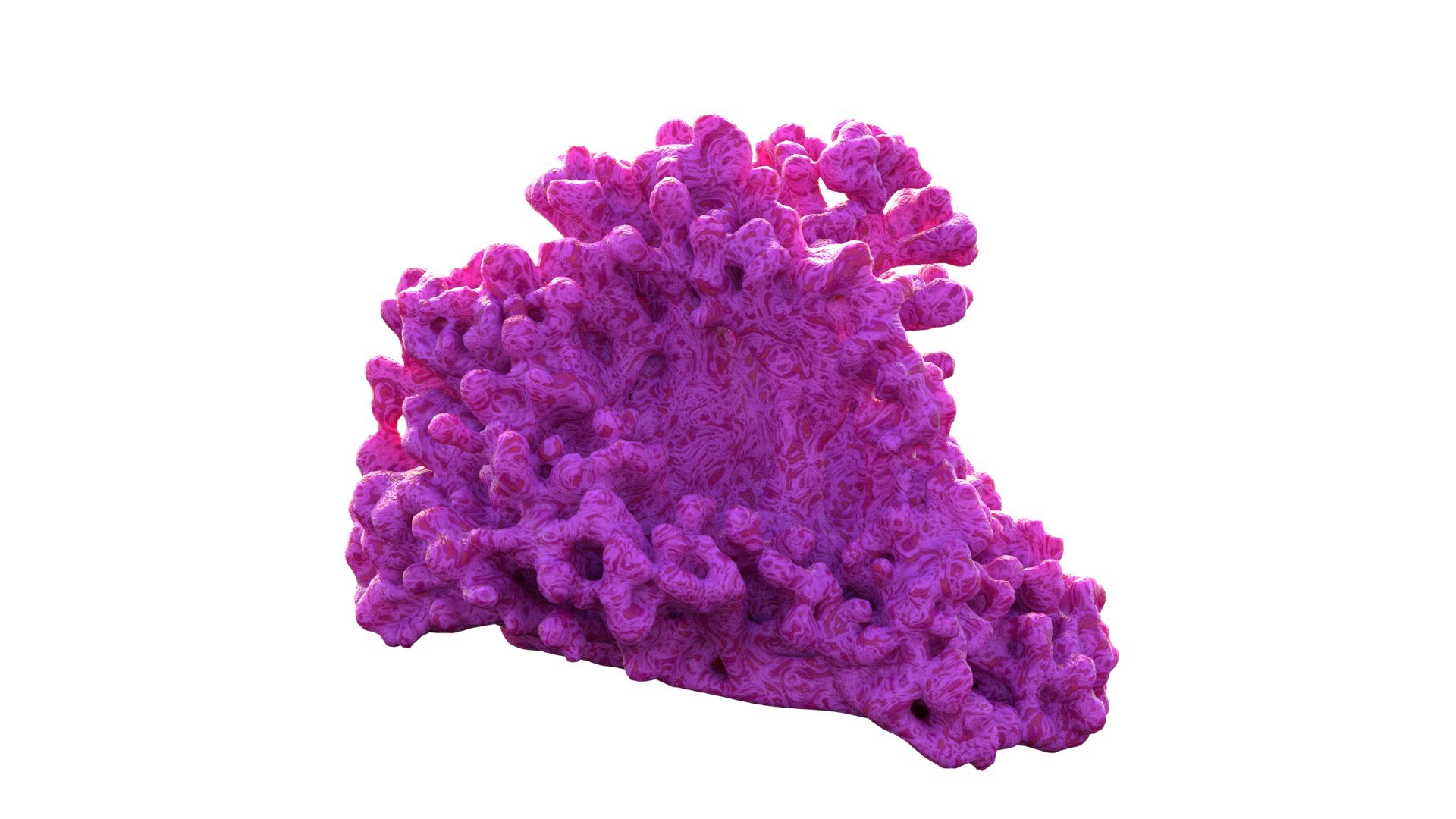 Coral Reef v2 3D model https://p.turbosquid.com/ts-thumb/kM/FvQ4oI/J9/3/jpg/1741488837/1920x1080/fit_q87/4f8b834b4f46671865af23ac8a083ab6da0b30e8/3.jpg
