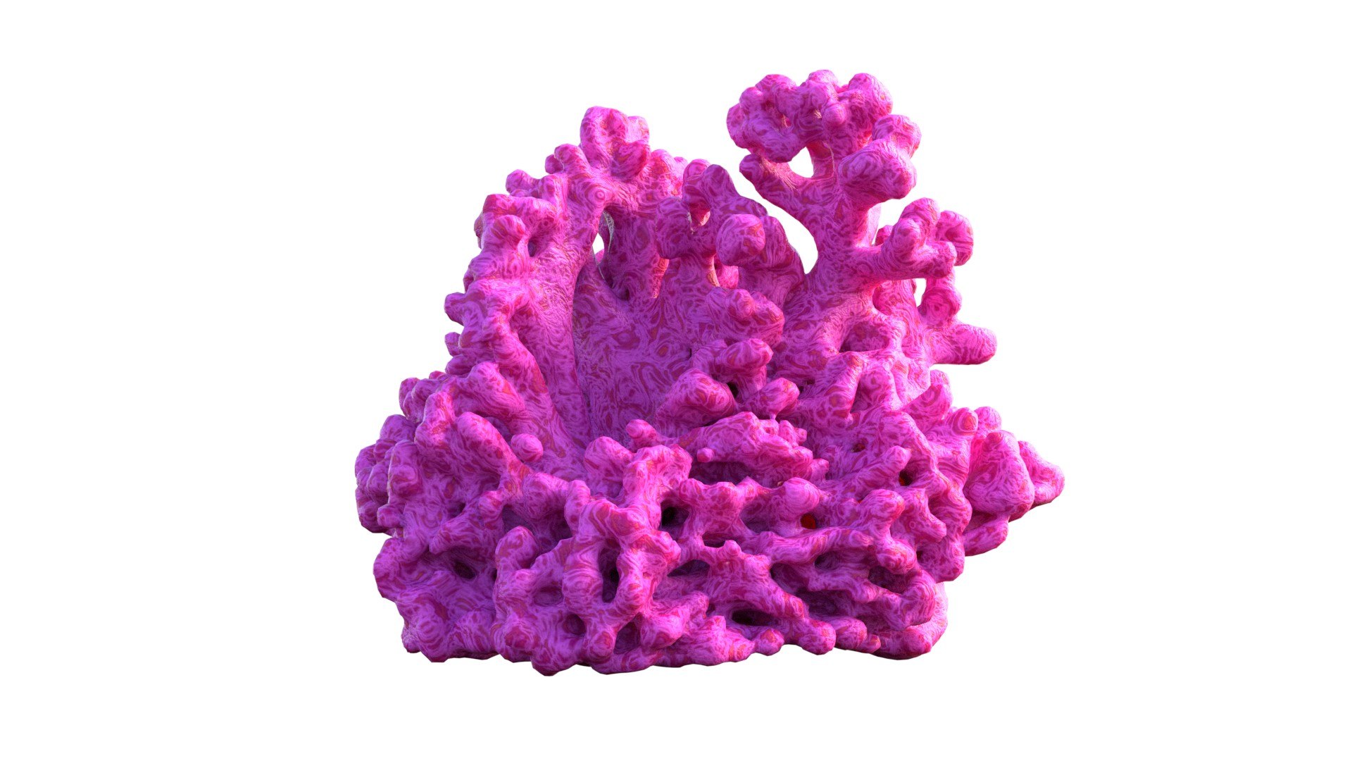 Coral Reef v2 3D model https://p.turbosquid.com/ts-thumb/kM/FvQ4oI/YM/4/jpg/1741488838/1920x1080/fit_q87/9a3db17ab966e15ba5e90931c151b047f8358b70/4.jpg