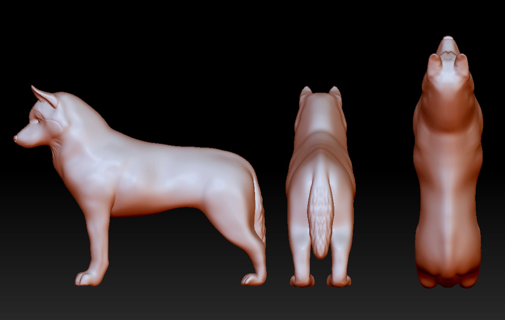 Siberian husky figurine 3D model - TurboSquid 1741498