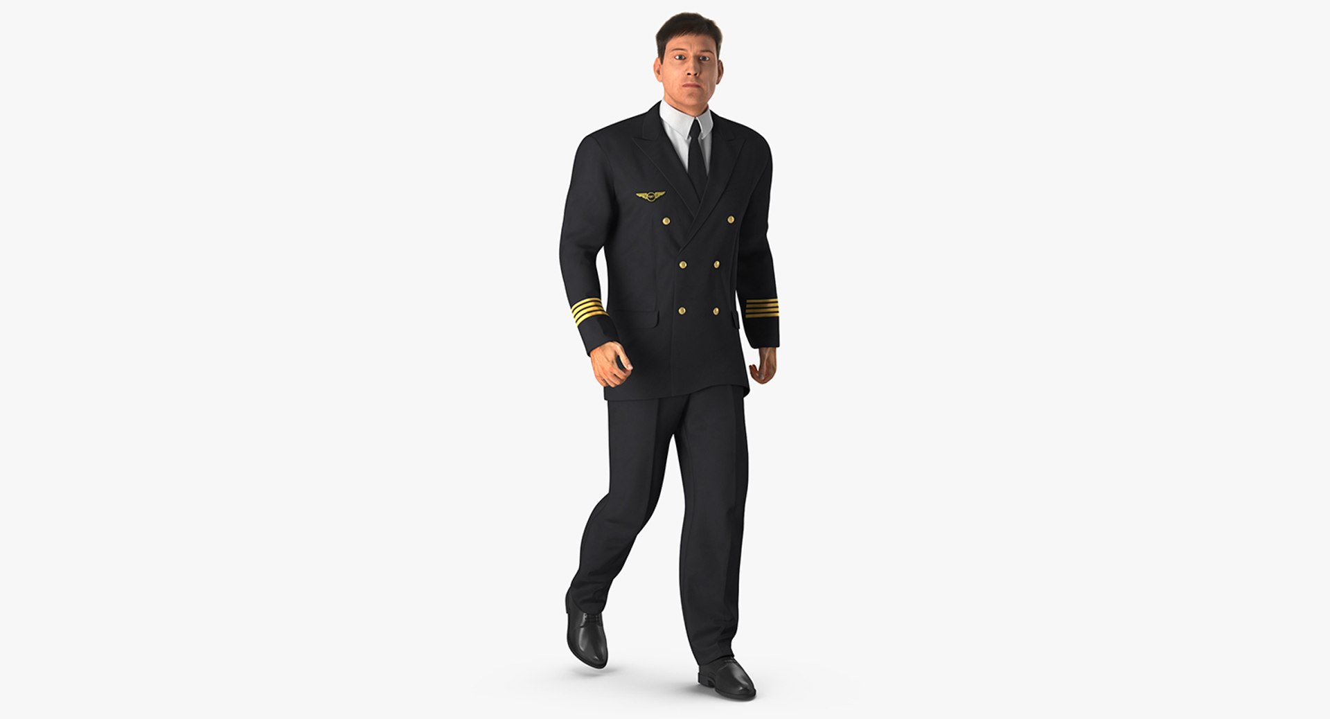Airline Pilot with Hair Rigged 3D model preview