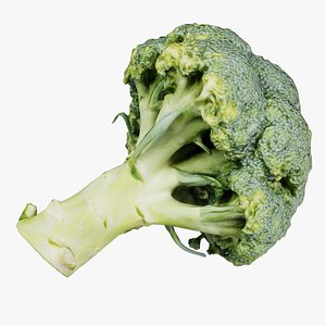 3D Broccoli Remastered