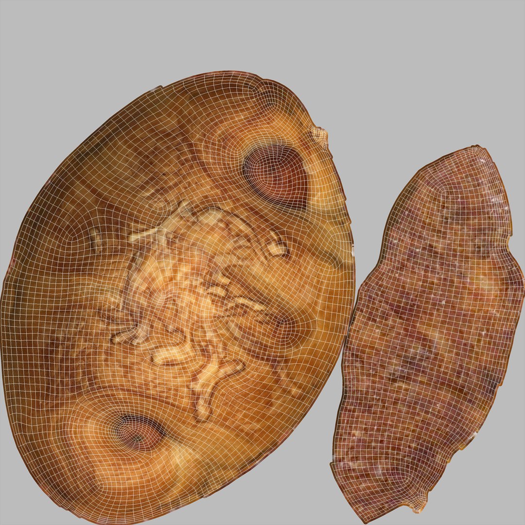 Sausage Croissant 3D https://p.turbosquid.com/ts-thumb/kM/e784ZL/ZO/uv/jpg/1618181091/1920x1080/fit_q87/a3969fb5879a41cbc9ba6825a03cfd67e88773fd/uv.jpg