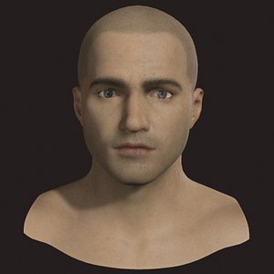 maya polygonal male head