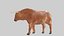 Brown Bull Ox Rigged Low Poly