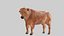 Brown Bull Ox Rigged Low Poly
