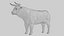 Brown Bull Ox Rigged Low Poly