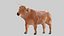 Brown Bull Ox Rigged Low Poly