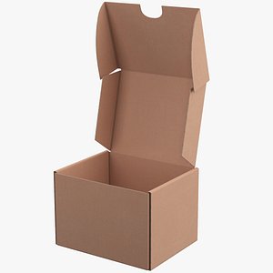 Cardboard Box model
