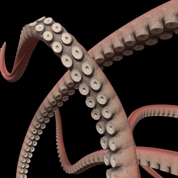 3D Tentacles Models | TurboSquid