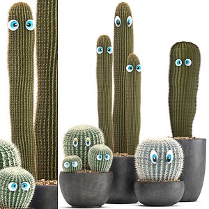 Cactus with eyes in a pot