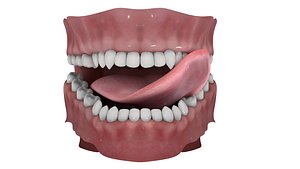 3D dentures tongue rigged model
