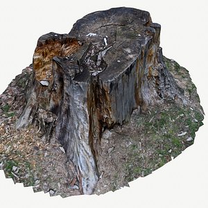 scan bpr tree stump 3D model