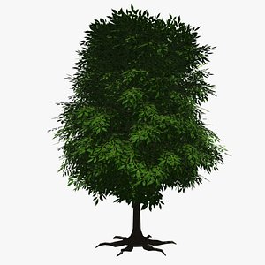 3D arbol frezno