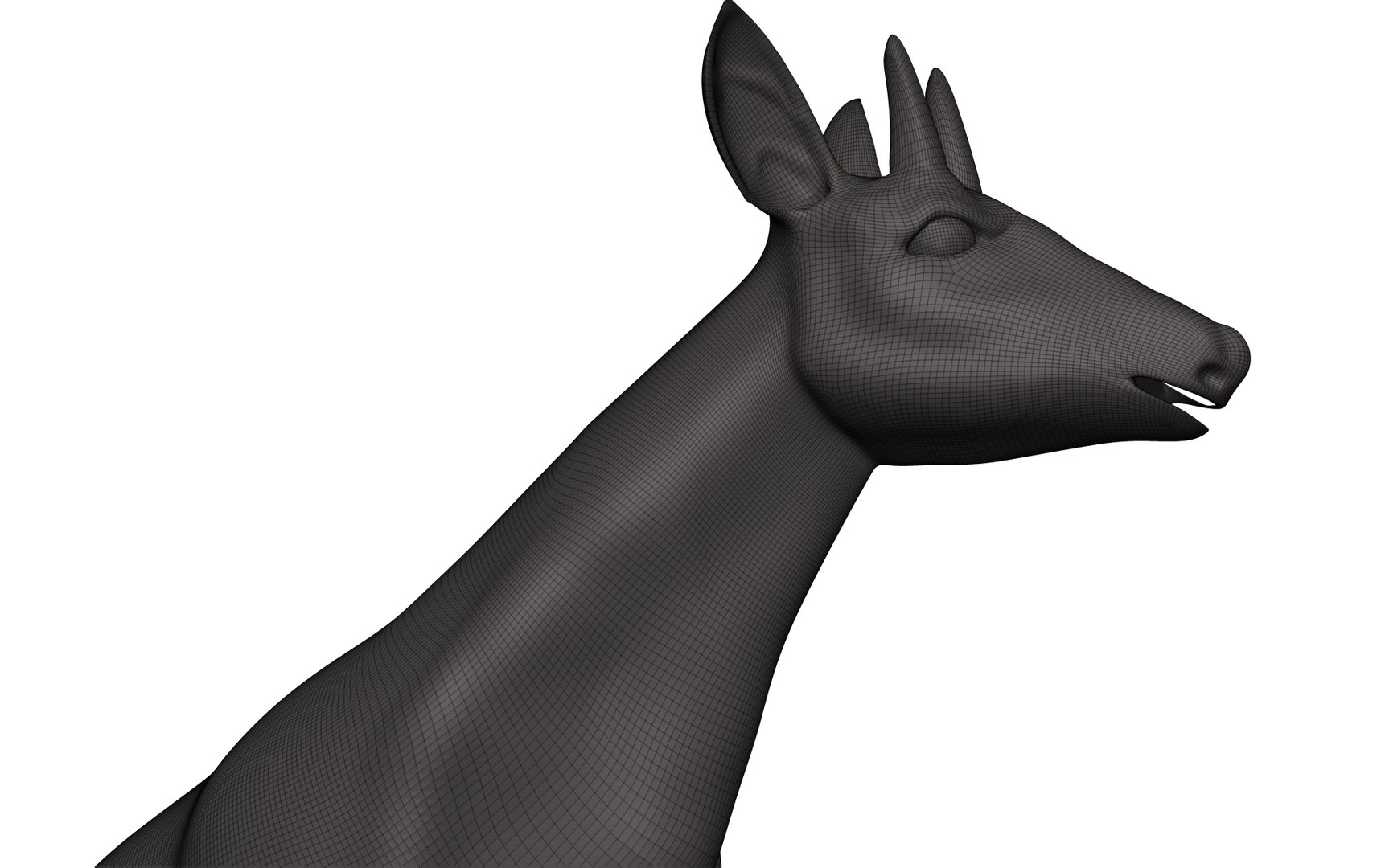 Okapi 3D Model - TurboSquid 1850439