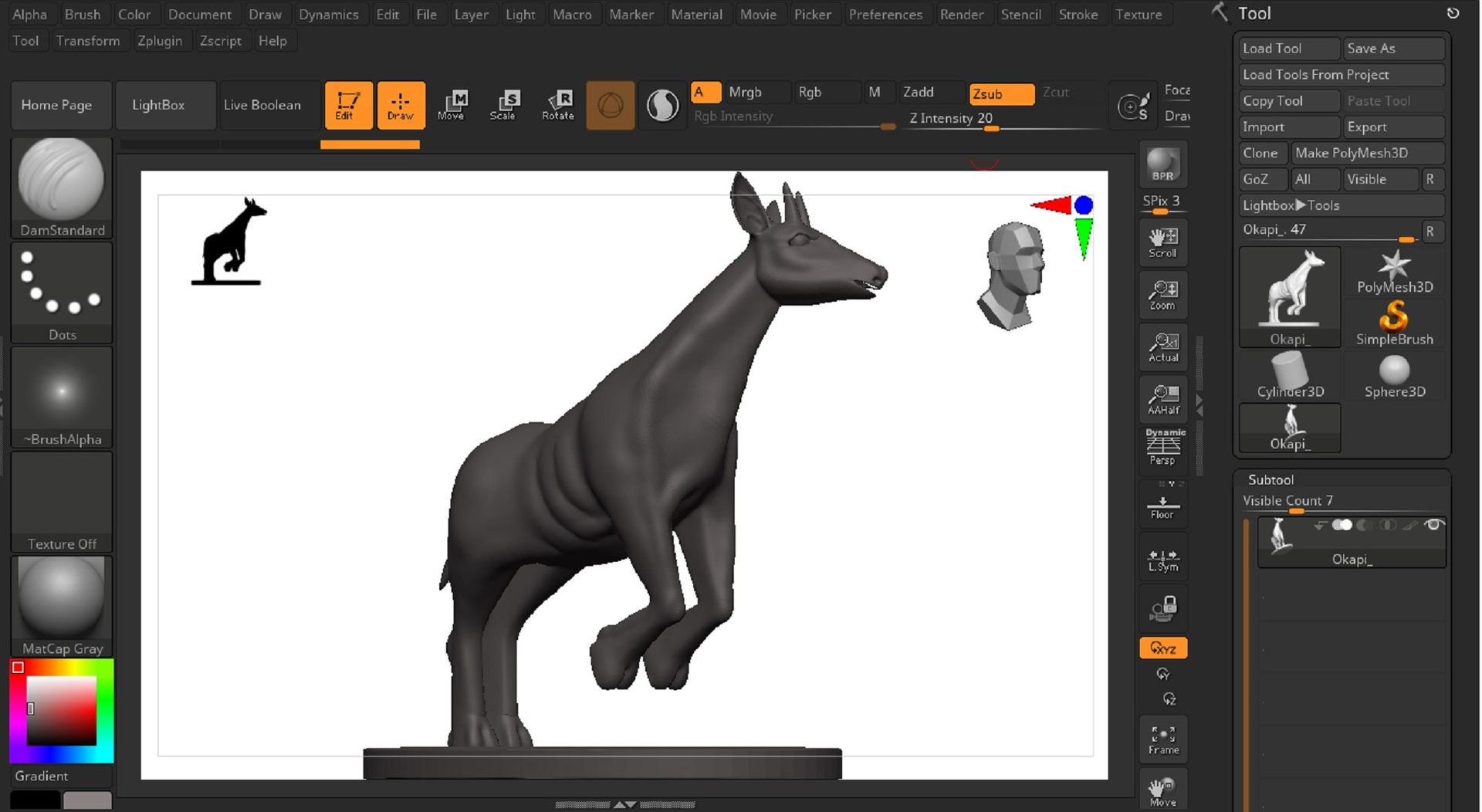 Okapi 3D Model - TurboSquid 1850439