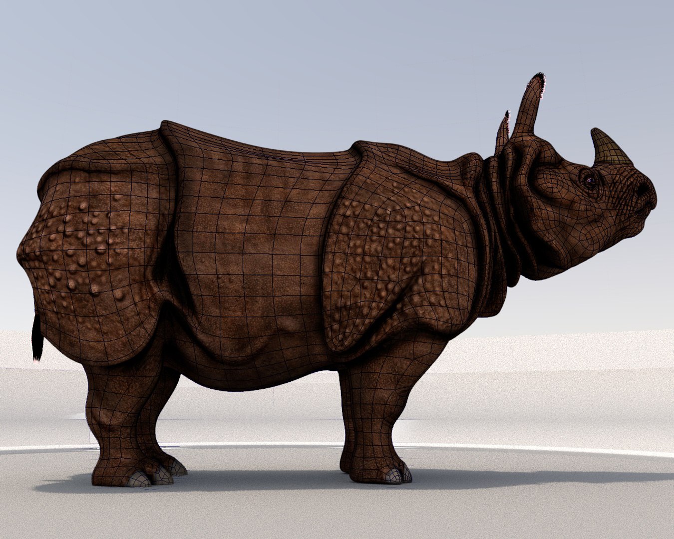 Rhinoceros 3D Model - TurboSquid 1508848