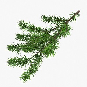 3D christmas fir branches model