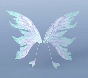 3D set fairy wings
