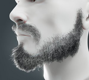 Beard RealTime 8 Version 2 3D model