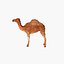 voxel camel max