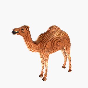 voxel camel max