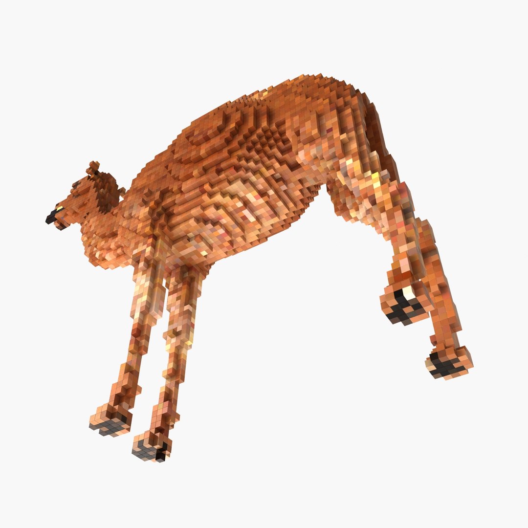 voxel camel max https://p.turbosquid.com/ts-thumb/kO/Fkt6zW/gDesOICG/4/jpg/1422815294/1920x1080/fit_q87/e7ff809e74e5e66d90e50fa3987a5c092995b6cc/4.jpg