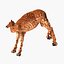 Voxel Camel