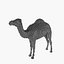 Voxel Camel