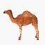 Voxel Camel