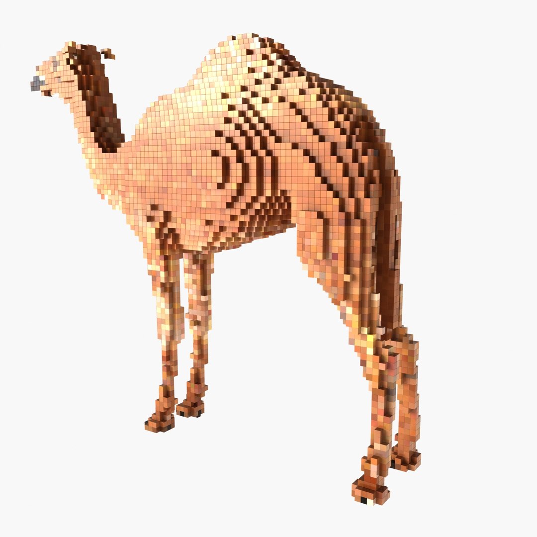 voxel camel max https://p.turbosquid.com/ts-thumb/kO/Fkt6zW/ssdsVrXs/3/jpg/1422815294/1920x1080/fit_q87/c0453a887b0913318d91bc85a1bfb74b2ec146a1/3.jpg