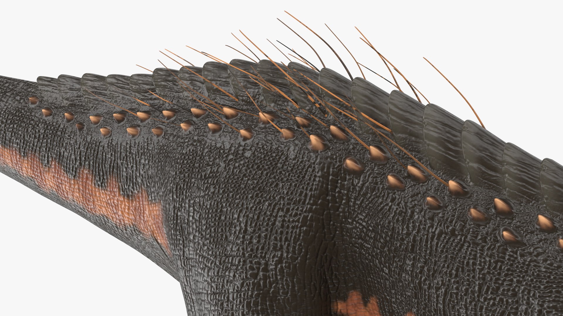 Indoraptor Rigged For Modo Model - TurboSquid 1907026