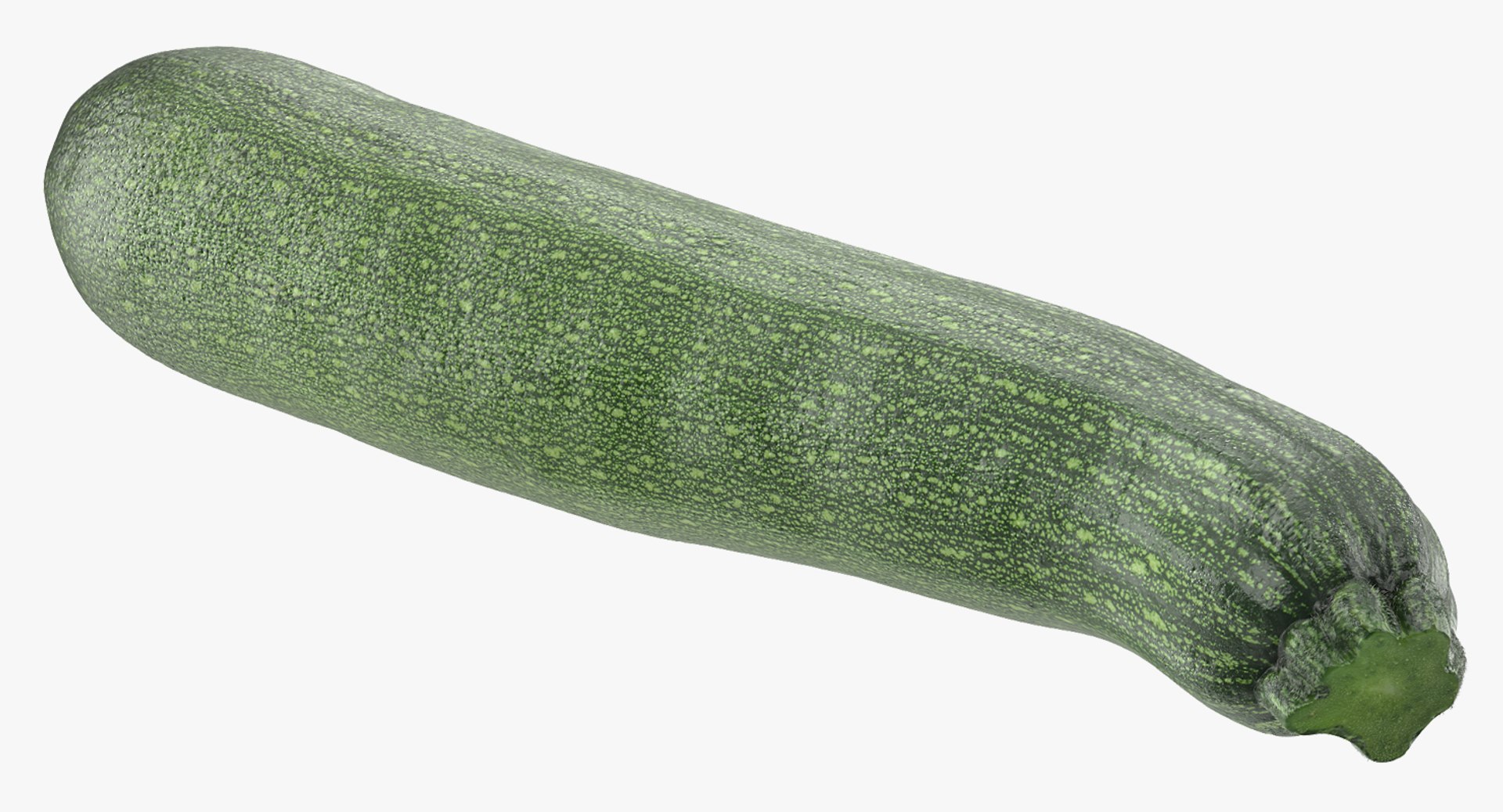 Zucchini 3D model preview