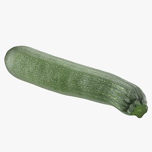3D model zucchini
