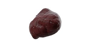 meatMeat category Animals Boar Beef Heart Organs Fat