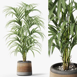 3D Plants collection 1092