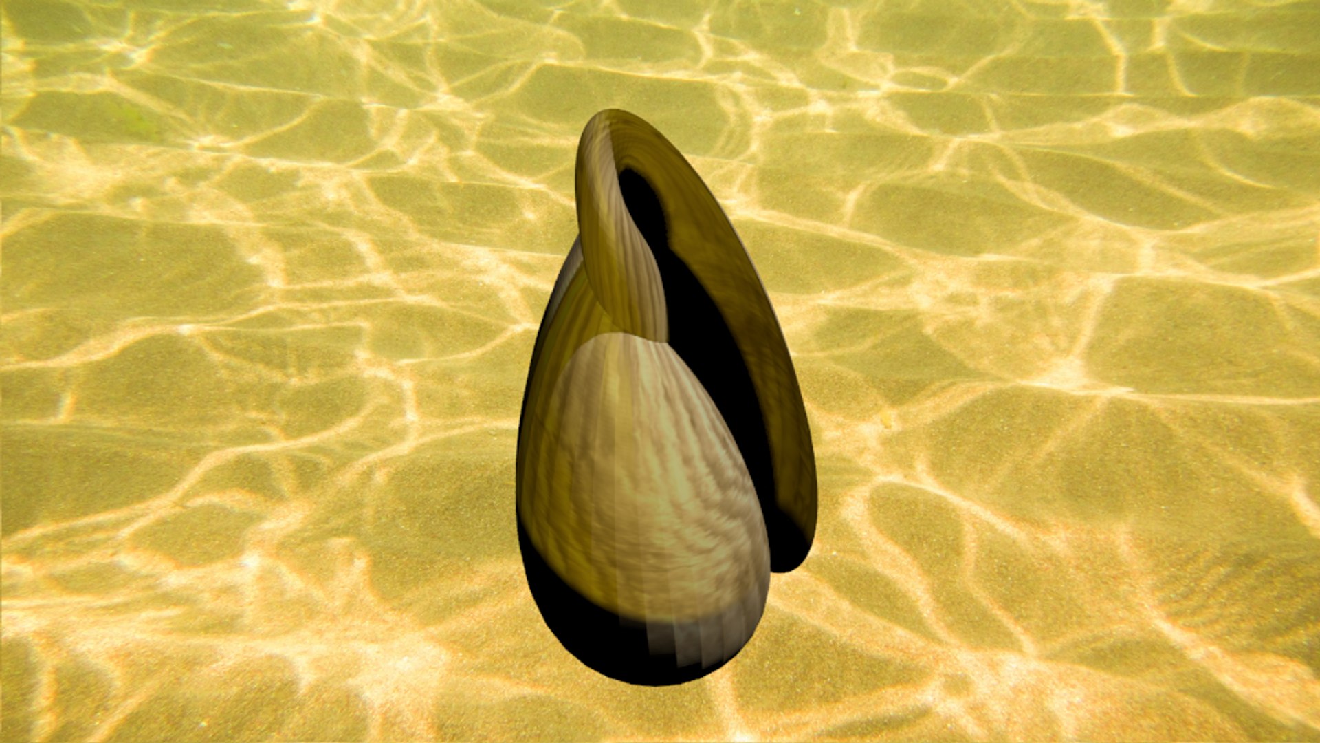 3d glory sea shell https://p.turbosquid.com/ts-thumb/kO/vQw0Lg/2p1pKs6O/gloryofthesea6/png/1482601031/1920x1080/fit_q87/7ab14ed7a515a14d029e73546192bcde57d1eee5/gloryofthesea6.jpg