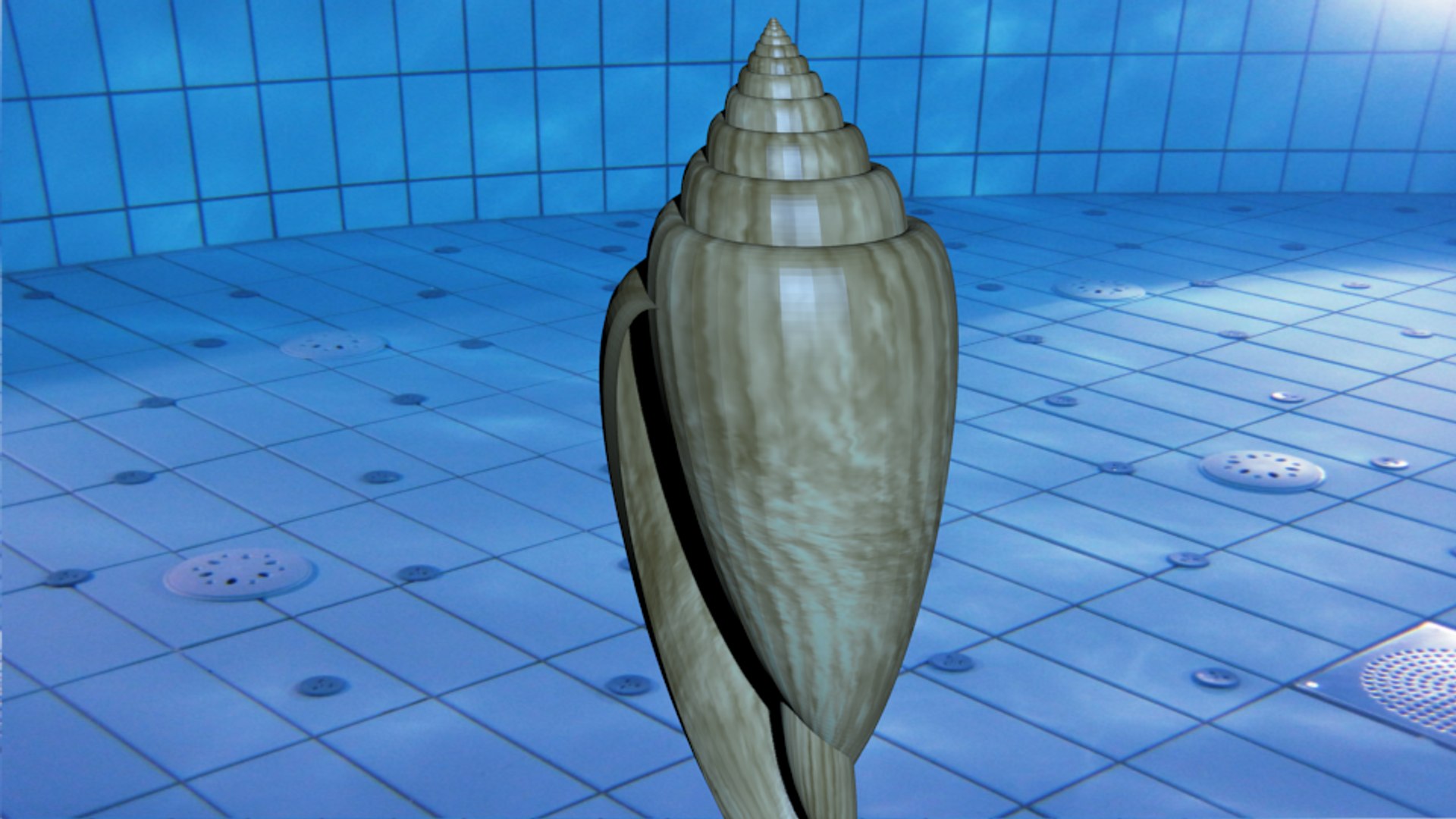 3d glory sea shell https://p.turbosquid.com/ts-thumb/kO/vQw0Lg/AMp4vqNf/gloryofthesea3/png/1482601031/1920x1080/fit_q87/b2aadbd5389b1914046f5093f3b87439c302c091/gloryofthesea3.jpg