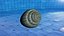 Glory of the Sea Shell