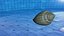 Glory of the Sea Shell