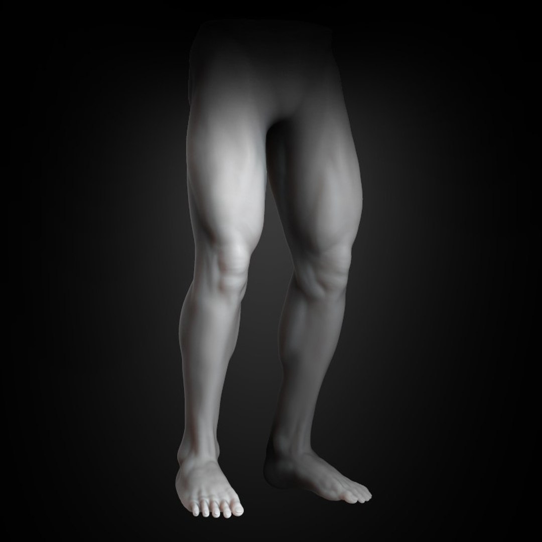 Human Muscular Lower Body Model - TurboSquid 1440070
