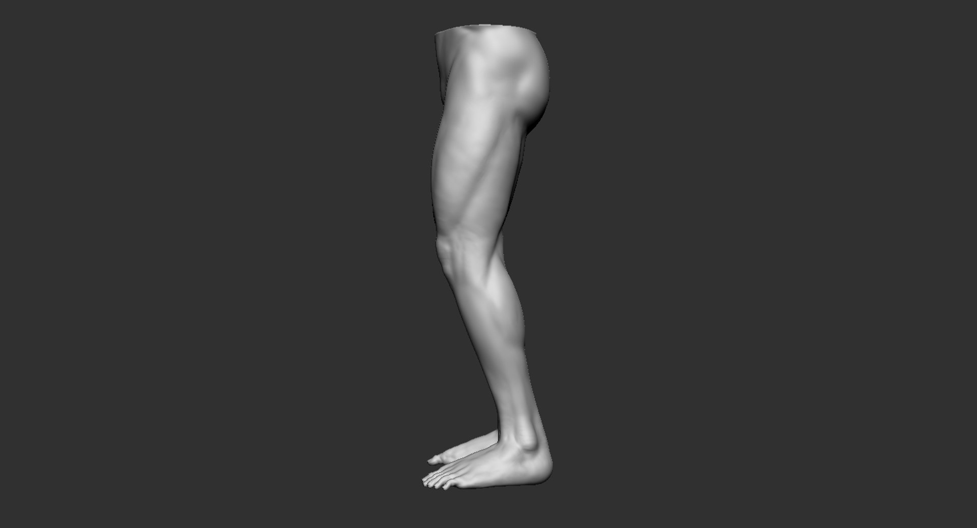 Human Muscular Lower Body Model - TurboSquid 1440070