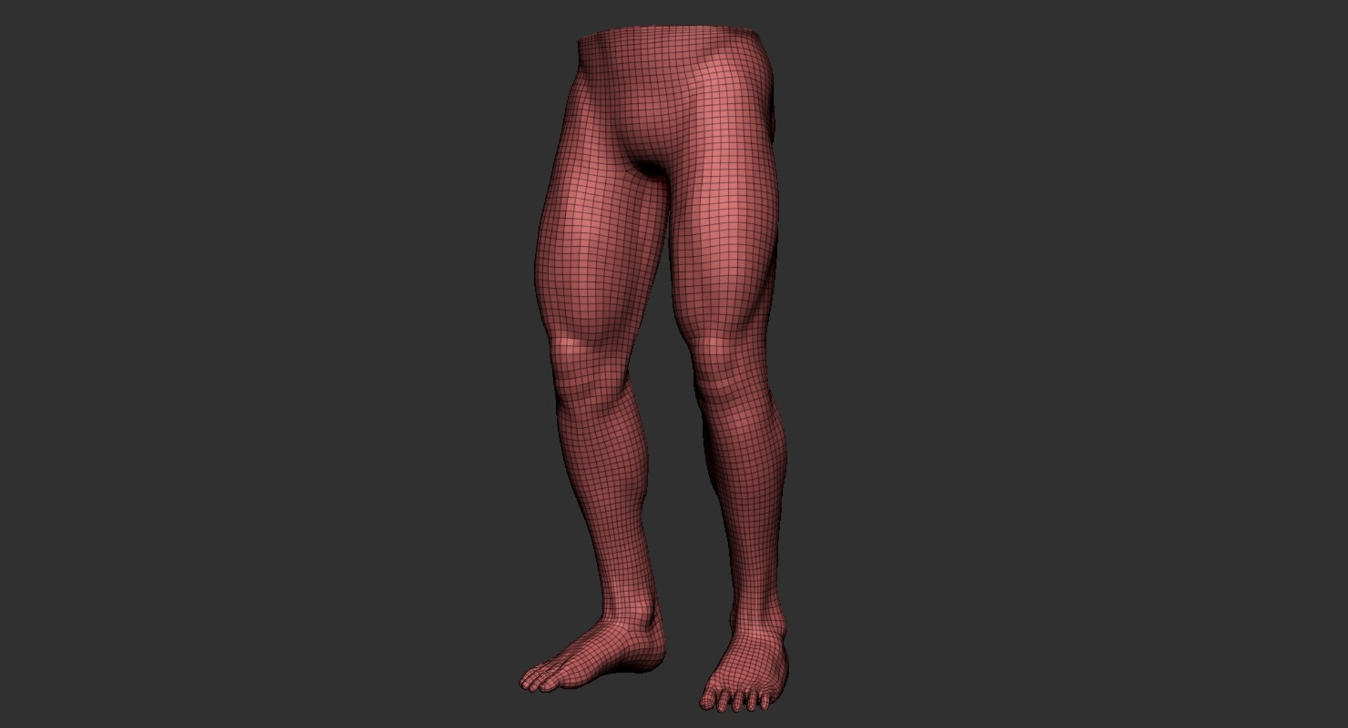 Human Muscular Lower Body Model - TurboSquid 1440070