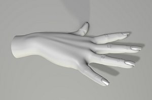 3D hand model