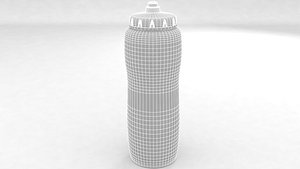 3D model Energy Water Bottle