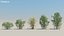 200 Low Poly Trees 3D model